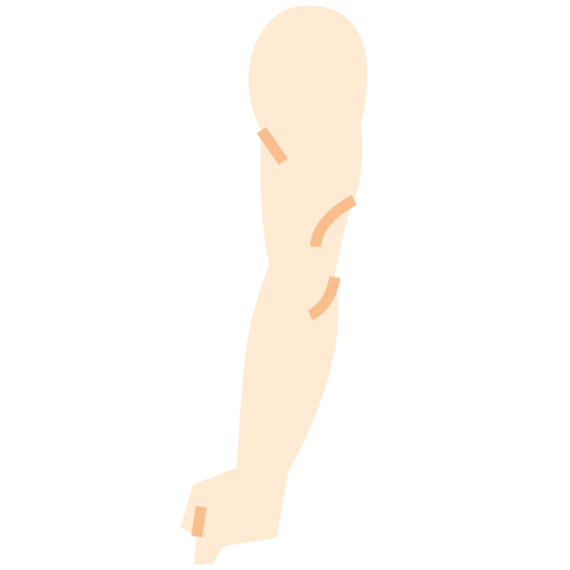 a strong triceps